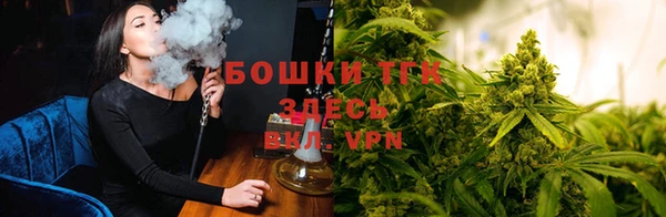 дживик Нефтекумск