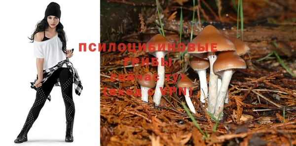 первитин Нея