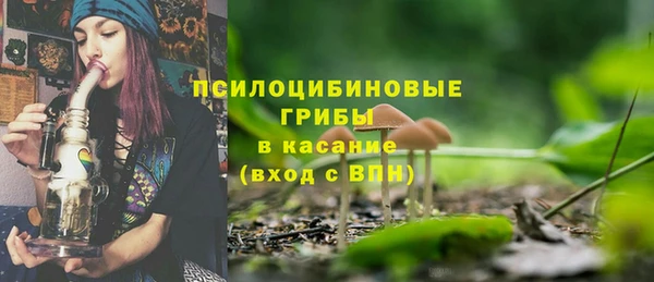 первитин Нея